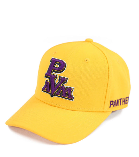 PRAIRIE VIEW A&M CAP