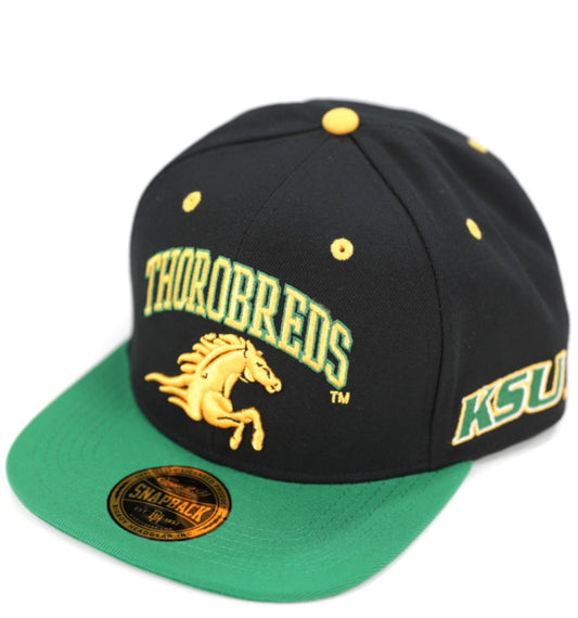 KENTUCKY STATE SNAPBACK CAP