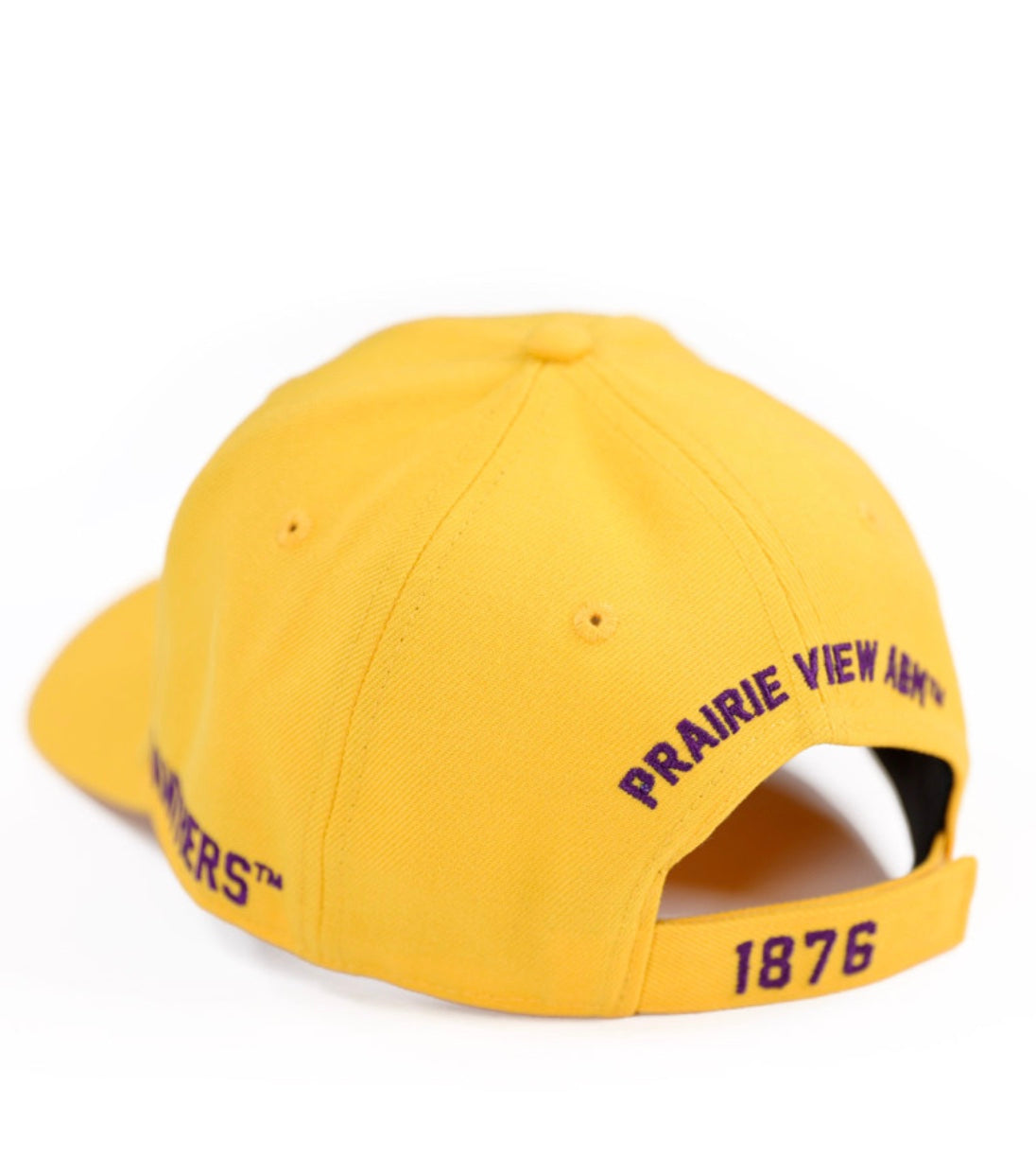 PRAIRIE VIEW A&M CAP