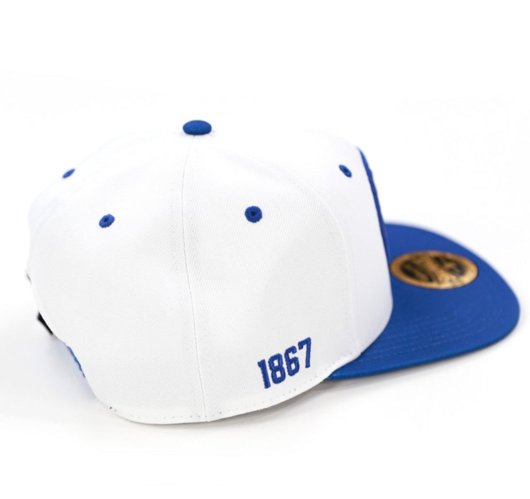 FAYETTEVILLE STATE SNAPBACK CAP