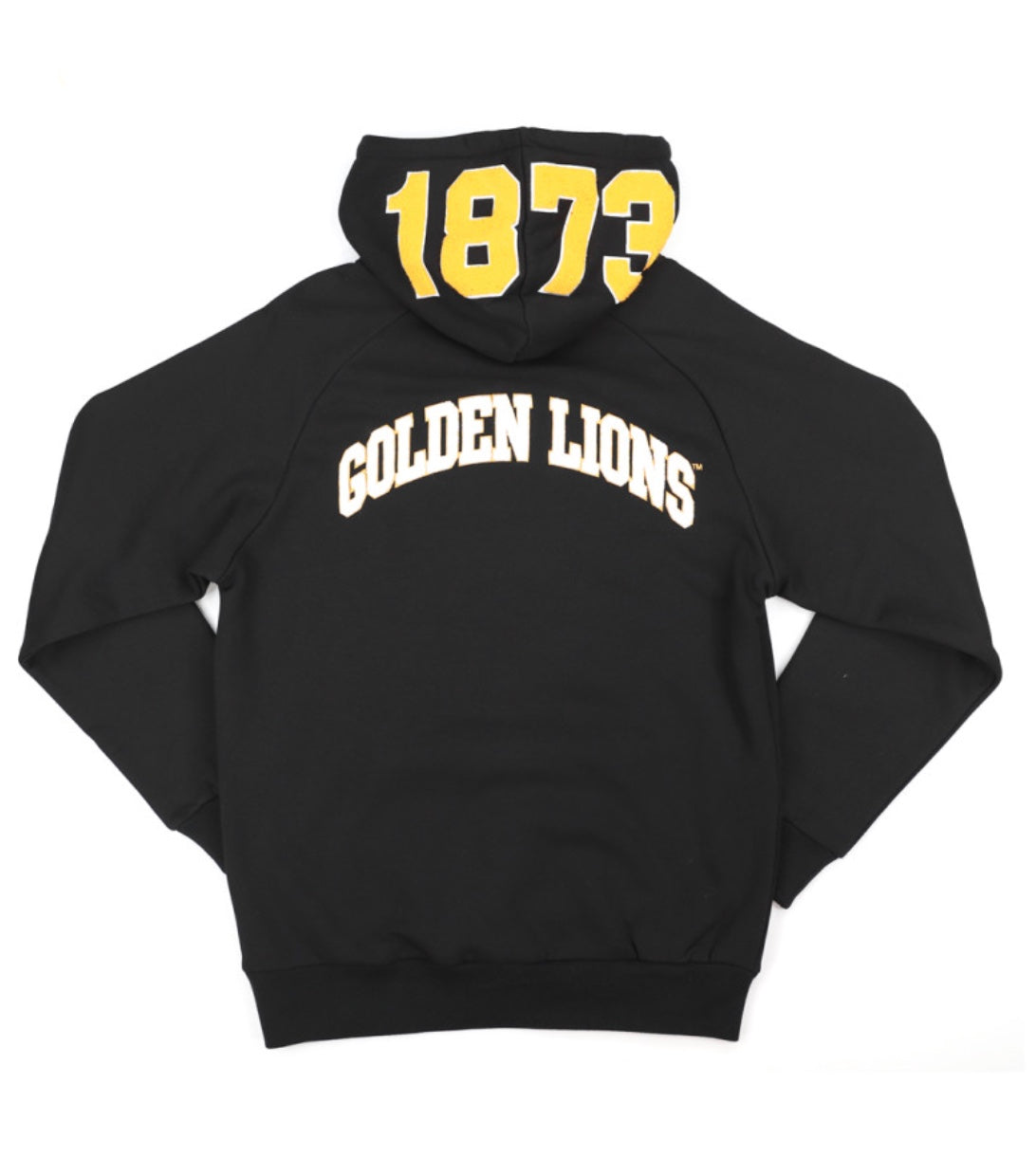 ARKANSAS PINE BLUFF HOODIE