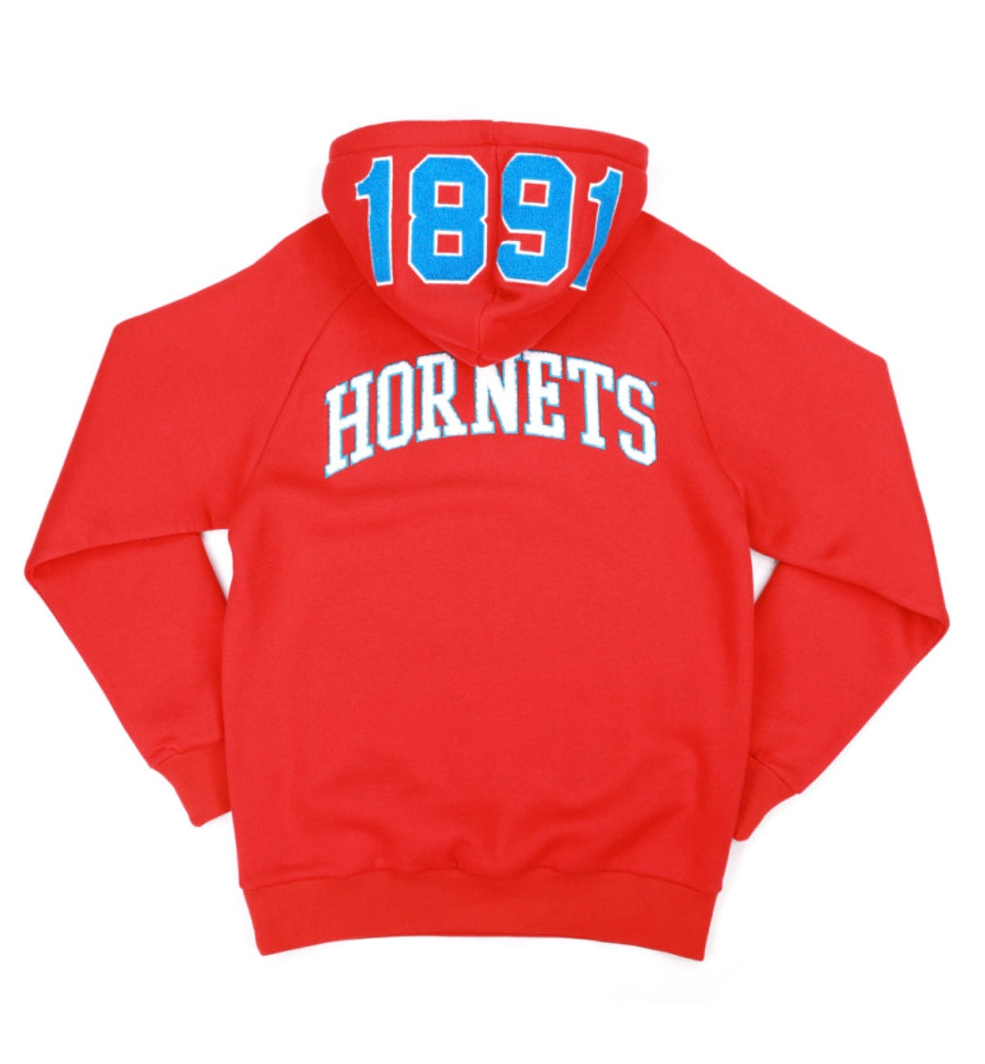 DELAWARE STATE HOODIE