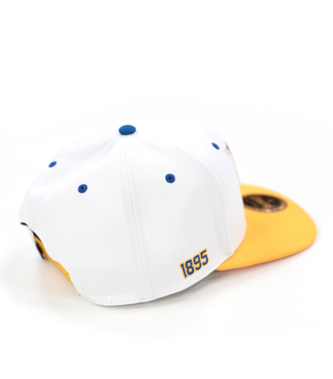 FORT VALLEY STATE SNAPBACK CAP