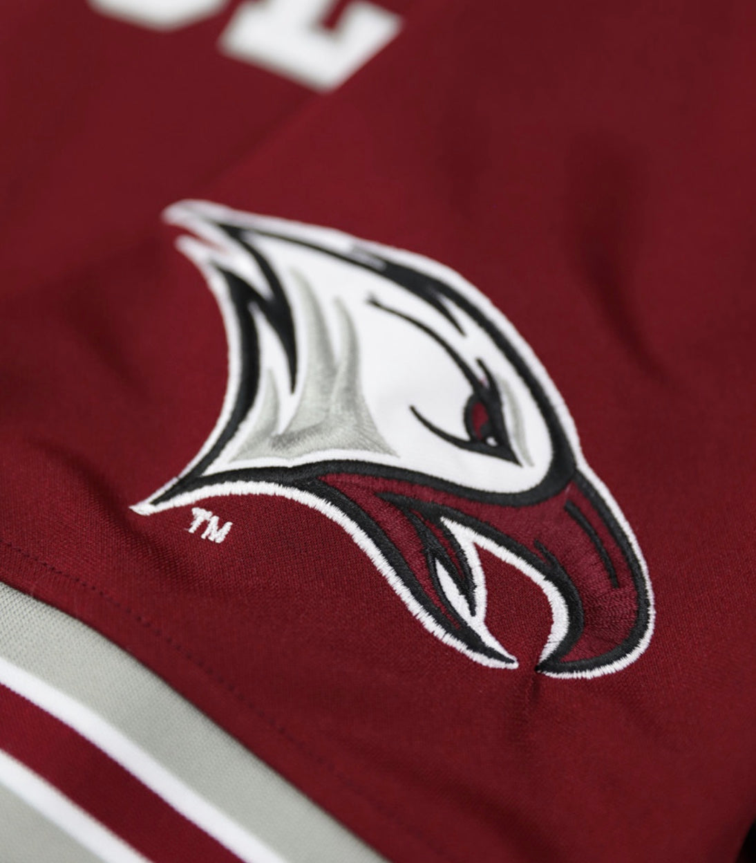 NORTH CAROLINA CENTRAL FOOTBALL JERSEY