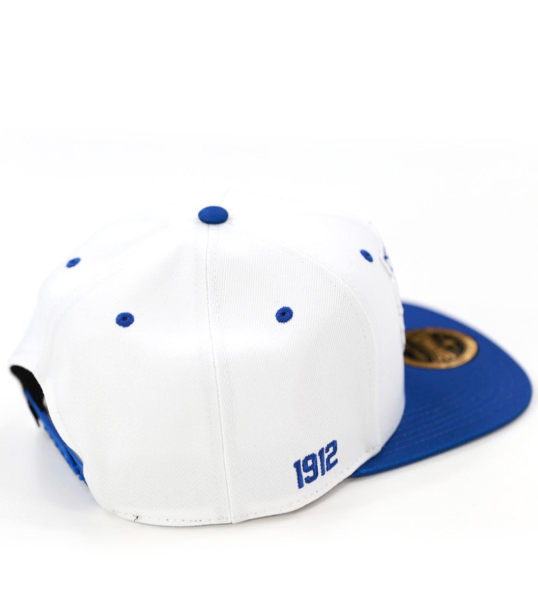 TENNESSEE STATE SNAPBACK CAP
