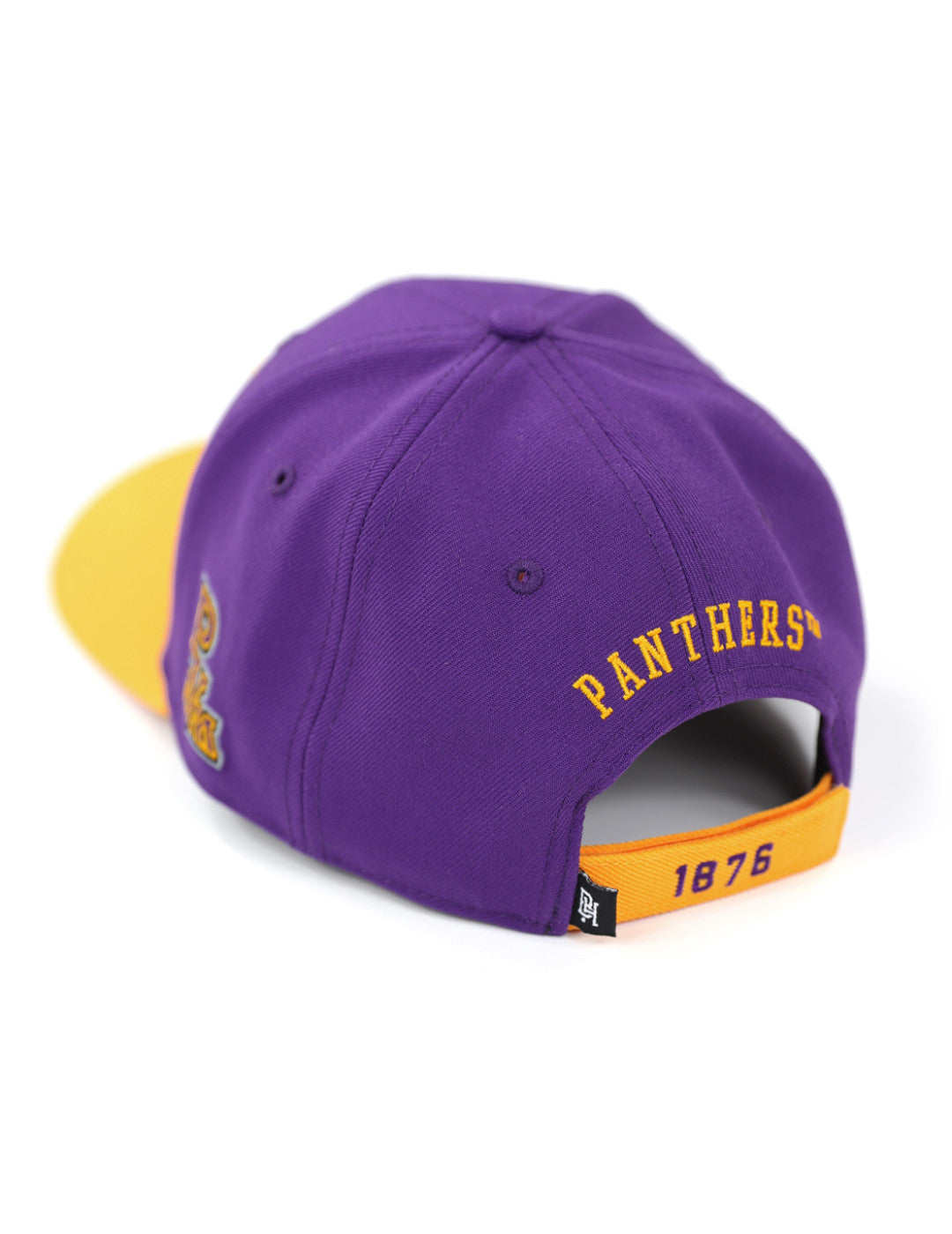 PRAIRIE VIEW A&M CAP