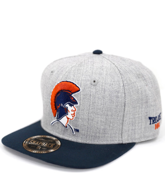 VIRGINIA STATE SNAPBACK CAP