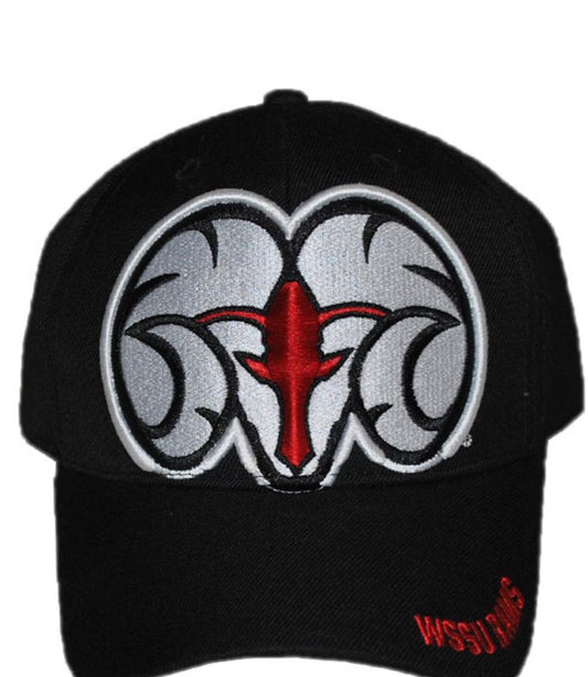 WINSTON SALEM CAP