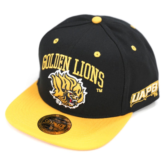 ARKANSAS PINE BLUFF SNAPBACK CAP
