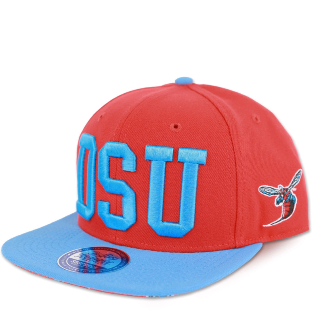 DELAWARE STATE SNAPBACK CAP