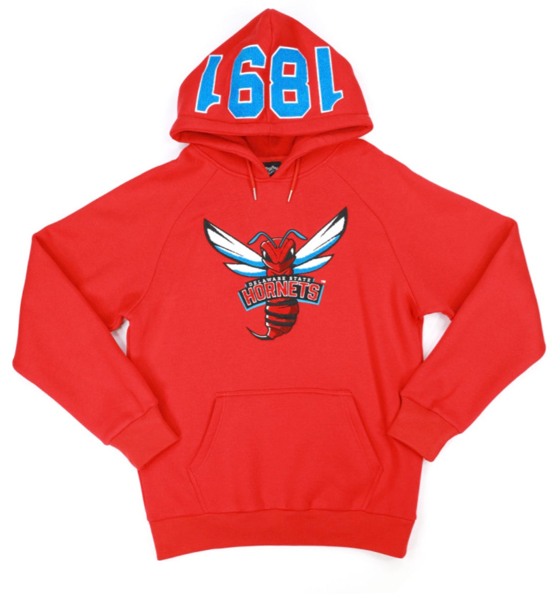 DELAWARE STATE HOODIE