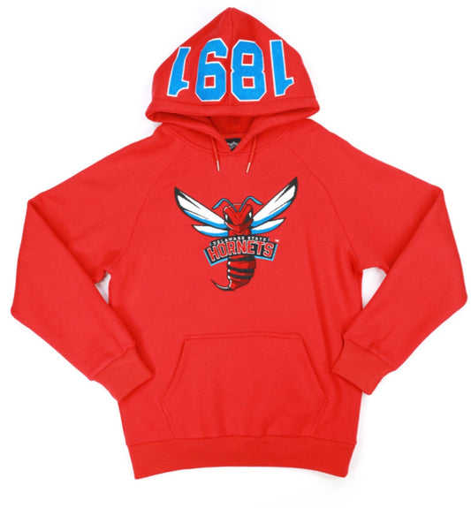 DELAWARE STATE HOODIE