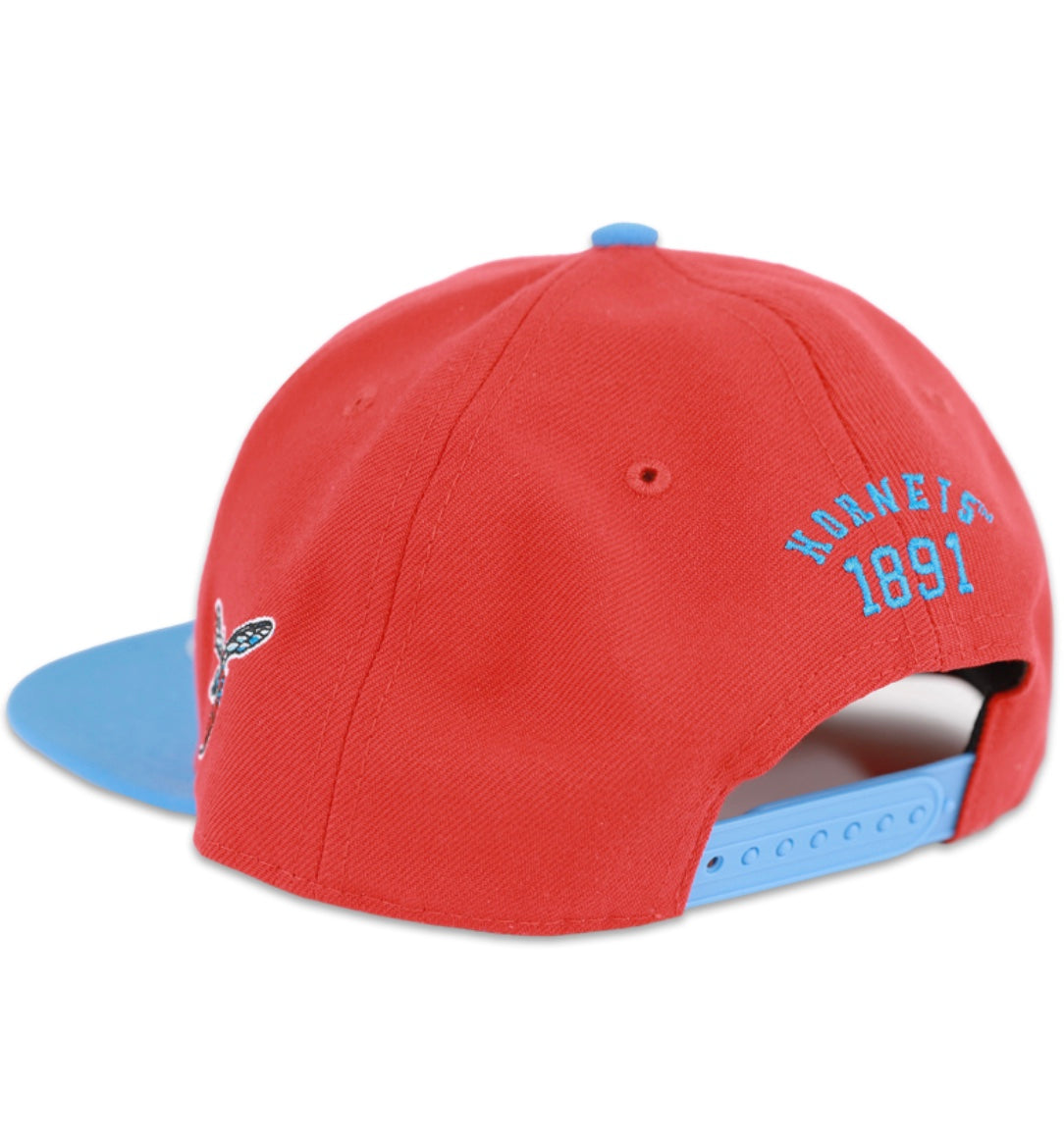 DELAWARE STATE SNAPBACK CAP