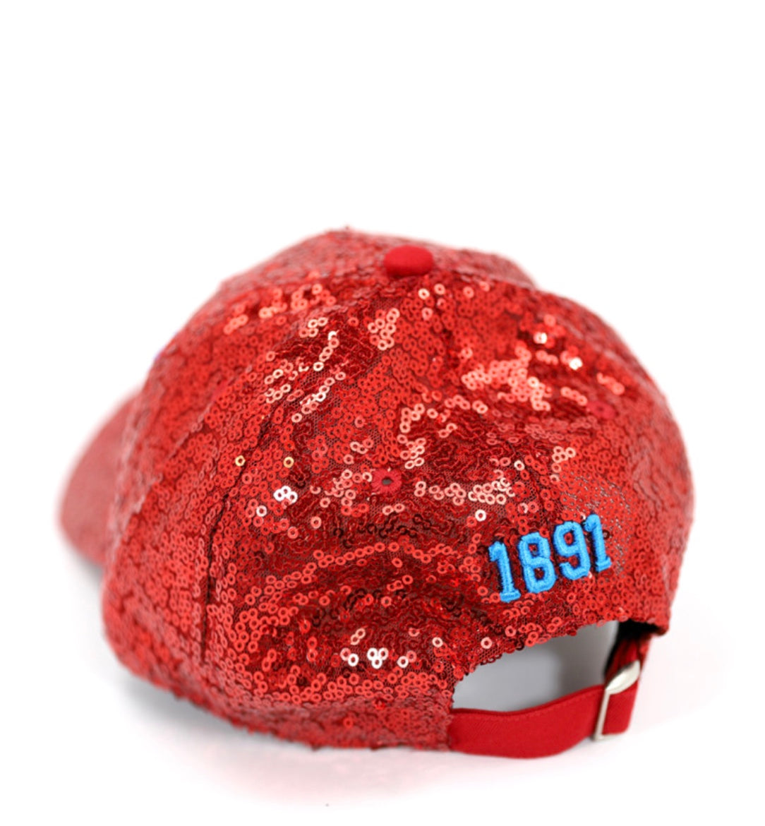 DELAWARE STATE SEQUINS CAP