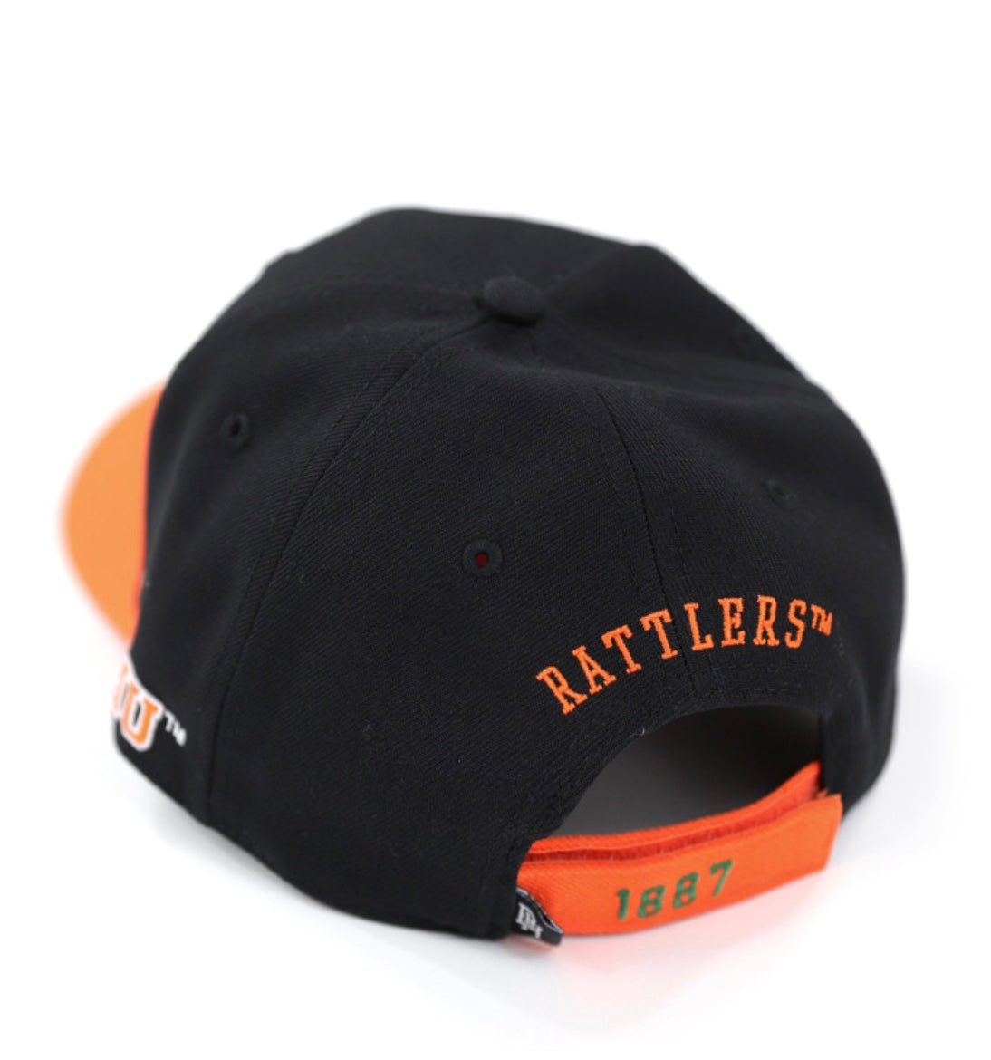 FLORIDA A&M CAP