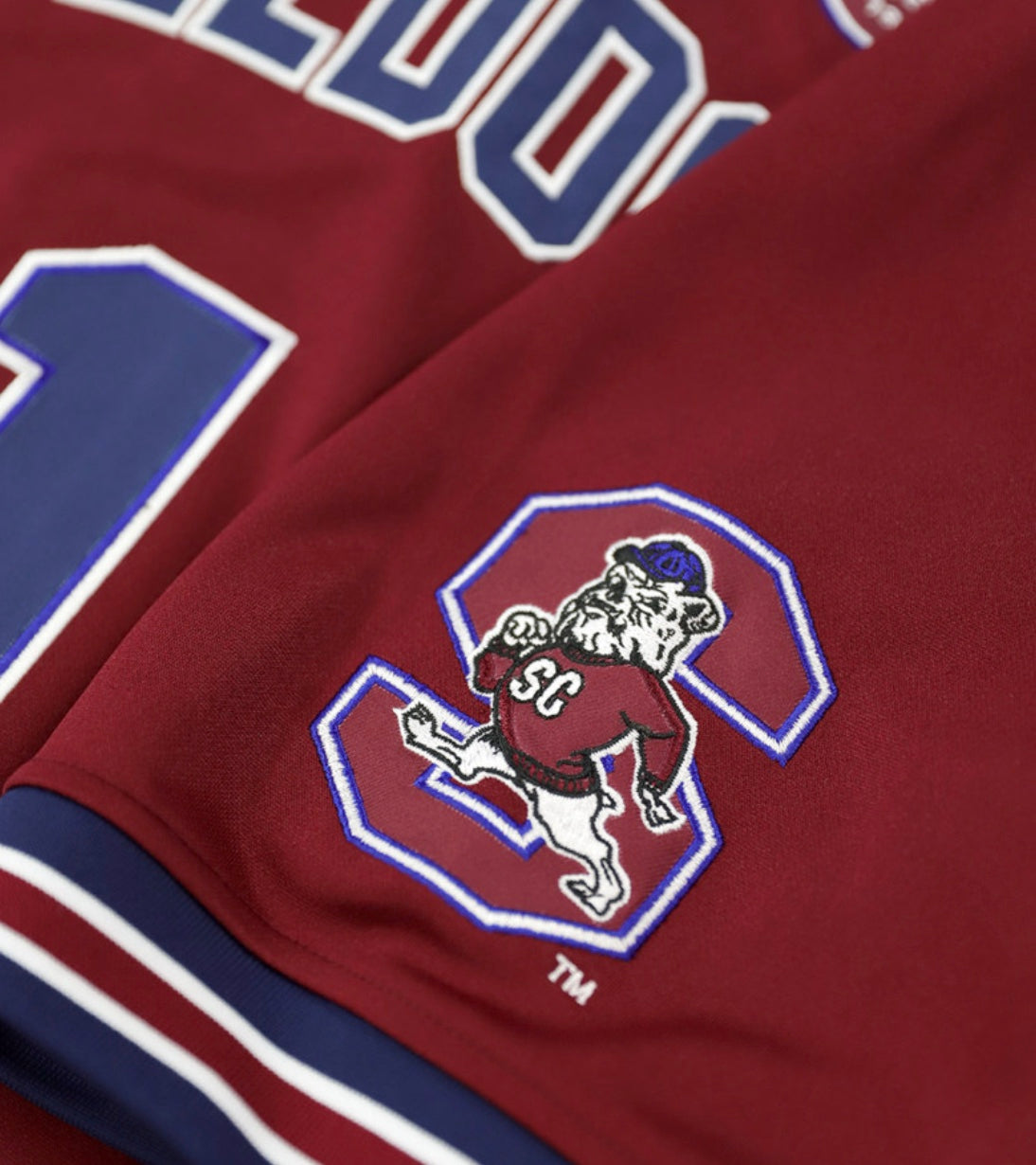 SOUTH CAROLINA STATE FOOTBALL JERSEY