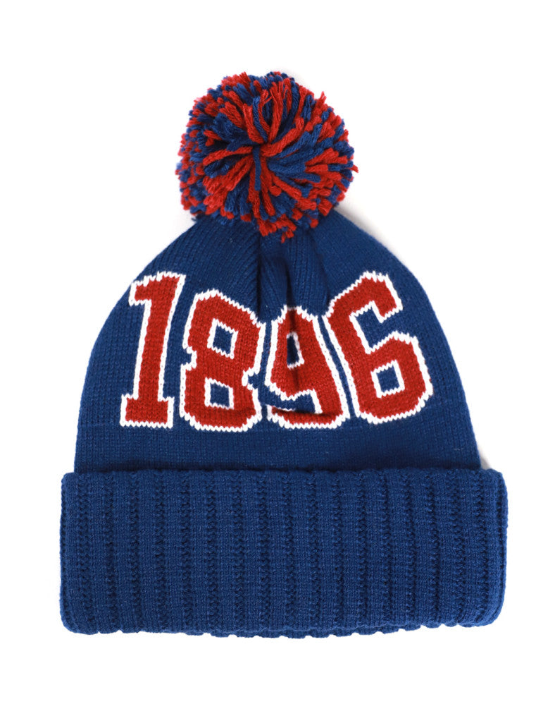 SOUTH CAROLINA STATE BEANIE