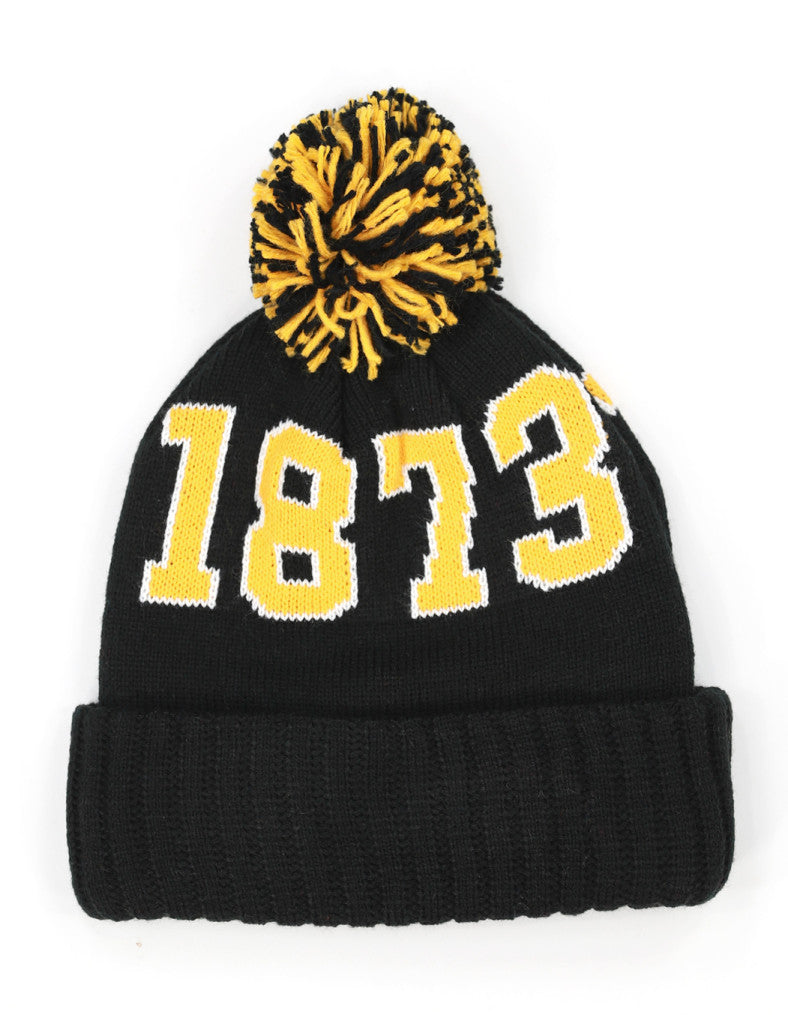 ARKANSAS PINE BLUFF BEANIE